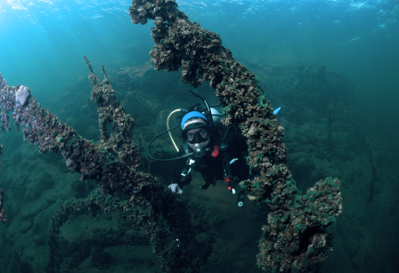 ABDEC_Buceo_Dique Piedras Moras_Operadora_Fauna-07