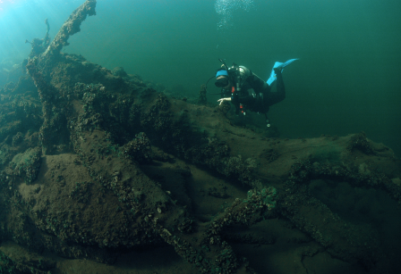 ABDEC_Buceo_Dique Piedras Moras_Operadora_Fauna-08